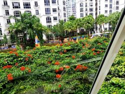 Casablanca (D25), Condominium #363046381